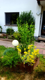 2018-06-29_11-27-28-1.webp
