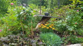 2018-06-29_11-27-57-1.webp