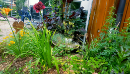 2018-06-29_11-33-27-1.webp