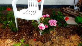 2018-06-29_11-20-47-1.webp