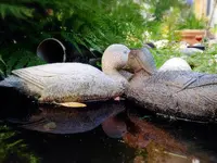 2018-07-02_18-57-52.webp