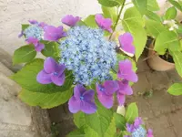 DSCI0499 (2).webp