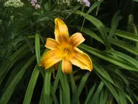BILD0006.webp