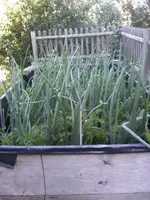 BILD0057.webp