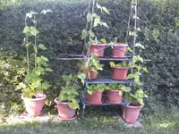 BILD0053.webp