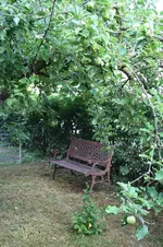 Garten Juli 9.jpg