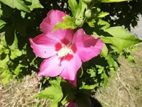 DSCI0497 (5).webp