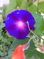 HSAM_0928.webp