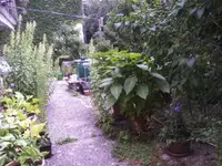 BILD0070.webp