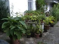 BILD0068.webp