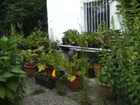 BILD0067.webp