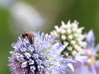 image003.webp