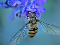 image009.jpg
