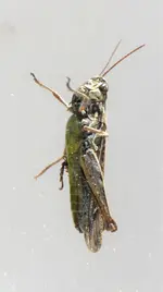 image020.jpg