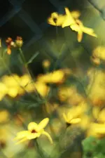 0M3A6273.webp
