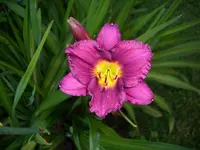 DSCI0902.webp