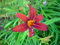 DSCI0906.webp