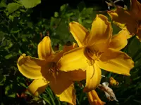 DSCI0892.jpg