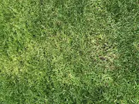 132636C6-8F6E-4D4E-8855-5FFBE6EFECAD.webp