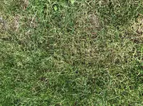 CF9A9523-17C3-4616-91FA-B3C6849E5752.webp