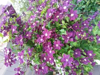 20180623_205441.webp