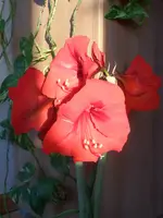 SAM_0841.webp