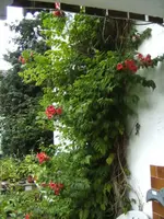 BILD0074.webp