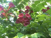 BILD0049.webp
