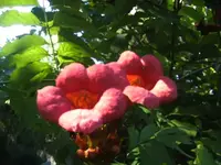 BILD0050.webp