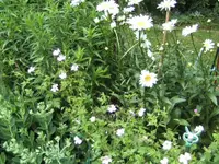 BILD0017.webp