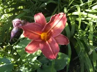 BILD0020.webp