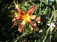 BILD0021.webp