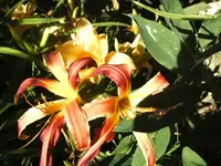 BILD0022.webp