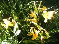 BILD0024.webp