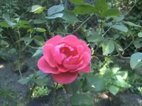 BILD0042.webp