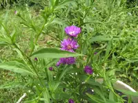 BILD0008.webp