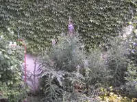BILD0072.webp