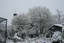 Winter5018.webp