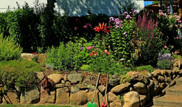 Hangbeet_linke Treppe_800.JPG