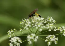 IMG_7104a.webp
