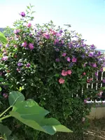 DSC04654.webp