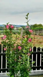 IMG_20180706_165540300_HDR.webp