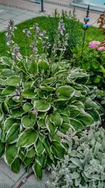 IMG_20180705_194833264_HDR.webp