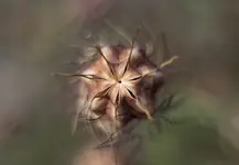 0M3A6327.webp