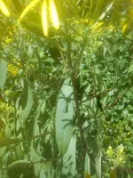 DSC05101.webp