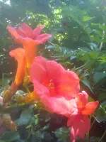 DSC05106.webp