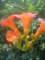 DSC05107.webp