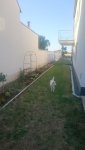 IMG-20180707-WA0008.jpg