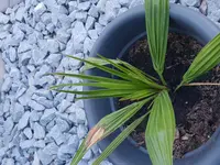 20180706_194826.webp