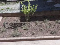 20180708_112834.jpg